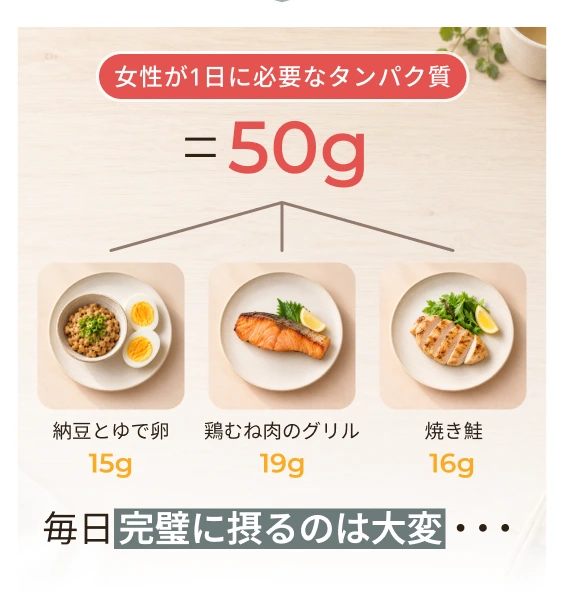 女性が1日に必要なタンパク質は50g。毎日食事で摂るのは大変。